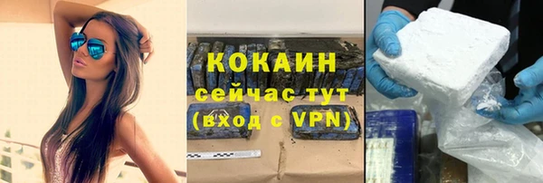 прущие грибы Сосновка